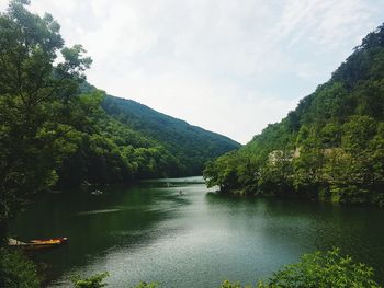 Scenic view of river in forest against sky
