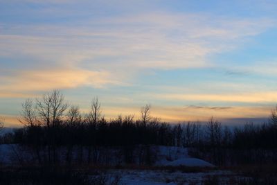 Bare trees on landscape against sky during sunset