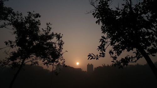 Low angle view of silhouette tree against sky during sunset