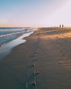 Scenic view of beach against clear sky during sunset