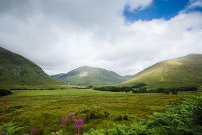 Scenic view of landscape against sky