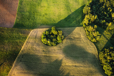 Scenic view from above of an agricultural field