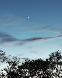 Low angle view of silhouette trees against sky