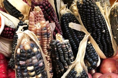 Close-up of corns for sale at market