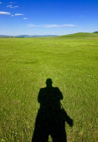 Shadow of man on grassy field against sky