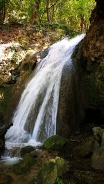 View of waterfall in forest