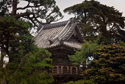 Low angle view of temple