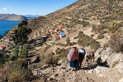 Rear view of woman with yaks walking on mountain during sunny day