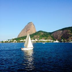 Sailboat sailing in sea against clear blue sky