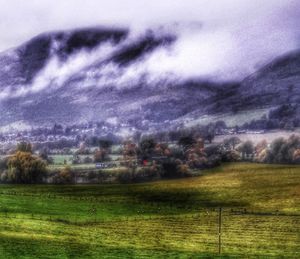 Scenic view of field against sky