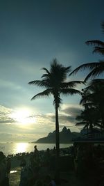 Silhouette palm trees on beach against sky during sunset