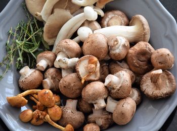 High angle view of mushrooms on table