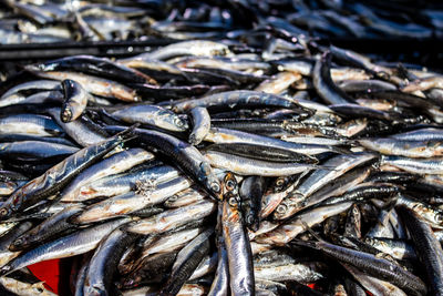 Full frame shot of fish for sale at market