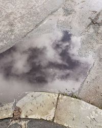 High angle view of puddle