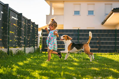 Baby girl running with beagle dog in backyard in summer day. domestic animal with children concept.