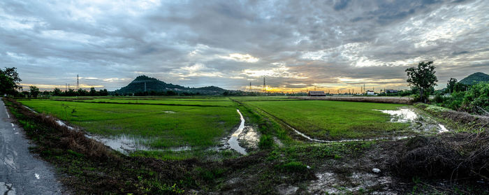 Scenic view of agricultural field against sky