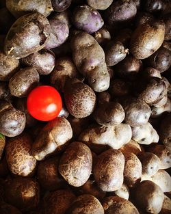 Directly above shot of tomato on purple potato for sale at market stall