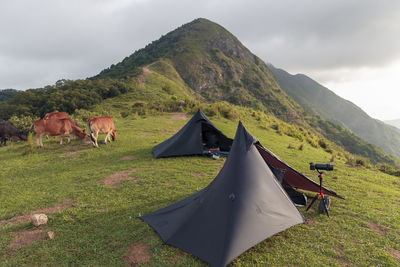 Camping and nature