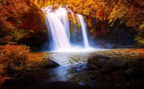 Scenic view of waterfall in forest