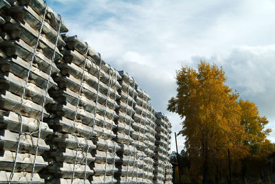 Low angle view of stack of trees against sky