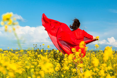 Low angle view of yellow flowering plants on field against sky