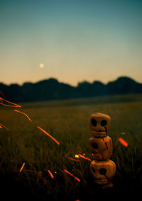 View of landscape at sunset