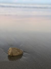 Close-up of stones on beach