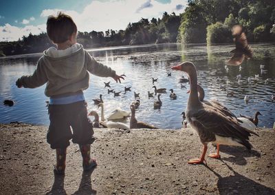 Rear view of boy standing at lakeshore