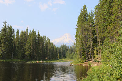 Scenic view of lake and pine trees against sky
