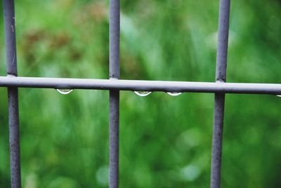 Close-up of wet fence