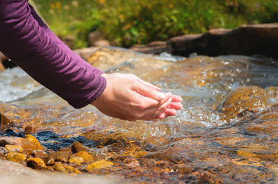 Man takes clean water from a stream in the forest. hand close up. sunny summer day in the forest