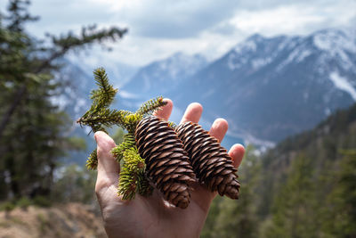 Midsection of person holding plant