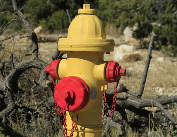 Close up of fire hydrant