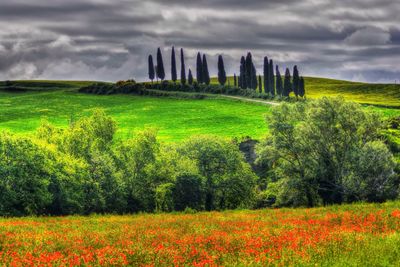 Scenic view of land against sky