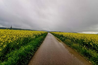 Scenic view of yellow field against sky