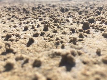 Full frame shot of sand