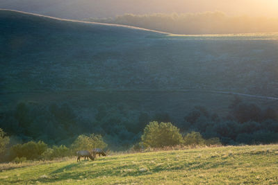 Scenic view of landscape against sky during sunset