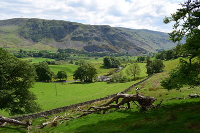 Scenic view of field and mountains against sky