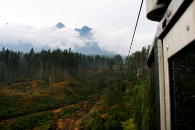 Panoramic view of trees and mountains against sky