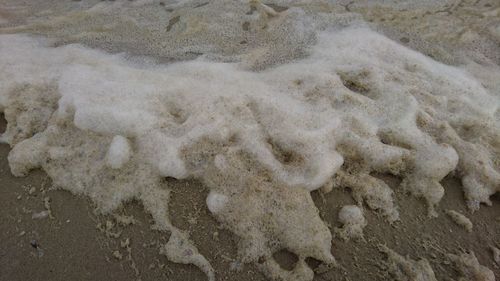 High angle view of footprints on sandy beach