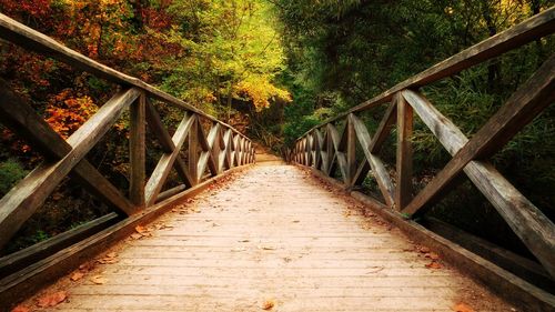 Surface level of footbridge amidst trees in forest