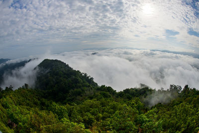 Beautiful sea of mist and forest, view from aiyoeweng view point, yala province, thailand