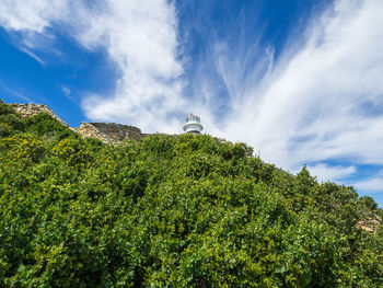 Low angle view of trees on mountain against cloudy sky