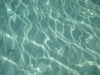 Full frame shot of swimming pool