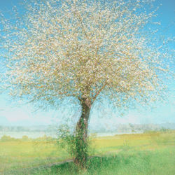 Close-up of tree against sky