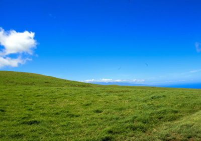 Scenic view of landscape against blue sky