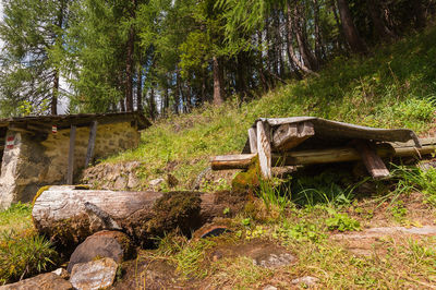 Old wooden structure in forest