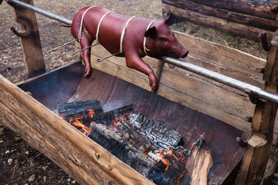 Piglet on grill, roasting pork.