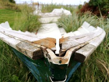 Close-up of log on field