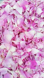 Full frame shot of pink flowers
